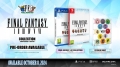 final-fantasy-i-vi-collection-anniversary-edition-gra-ps4-d.jpg