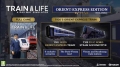 train-life-a-railway-simulator-gra-ps5-d.jpg